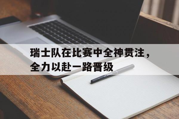 开元KY-瑞士队在比赛中全神贯注，全力以赴一路晋级
