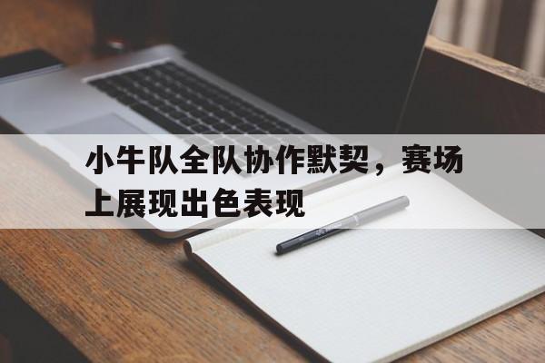 开元游戏APP下载-小牛队全队协作默契，赛场上展现出色表现